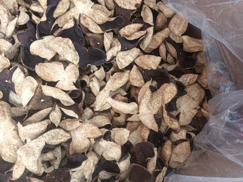 陈皮新会陈皮实物实拍规格任选批发各种中药材