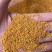 芍药花蕊大货批发牡丹花蕊黄金蕊