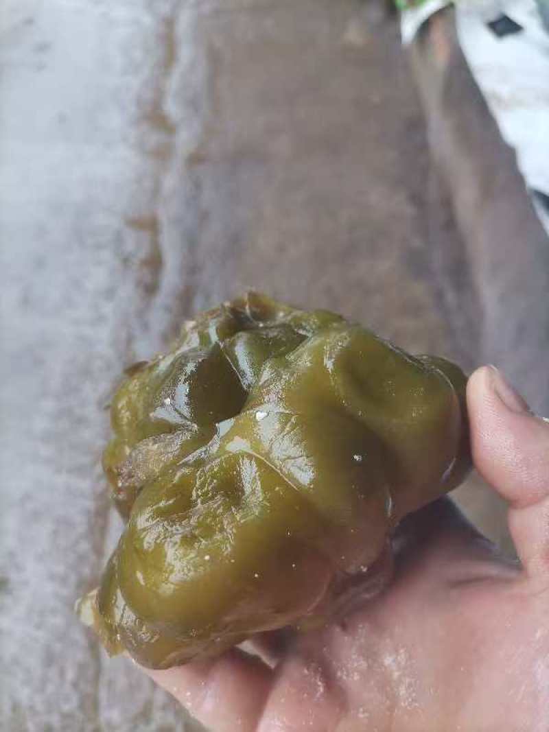 榨菜，腌制榨菜