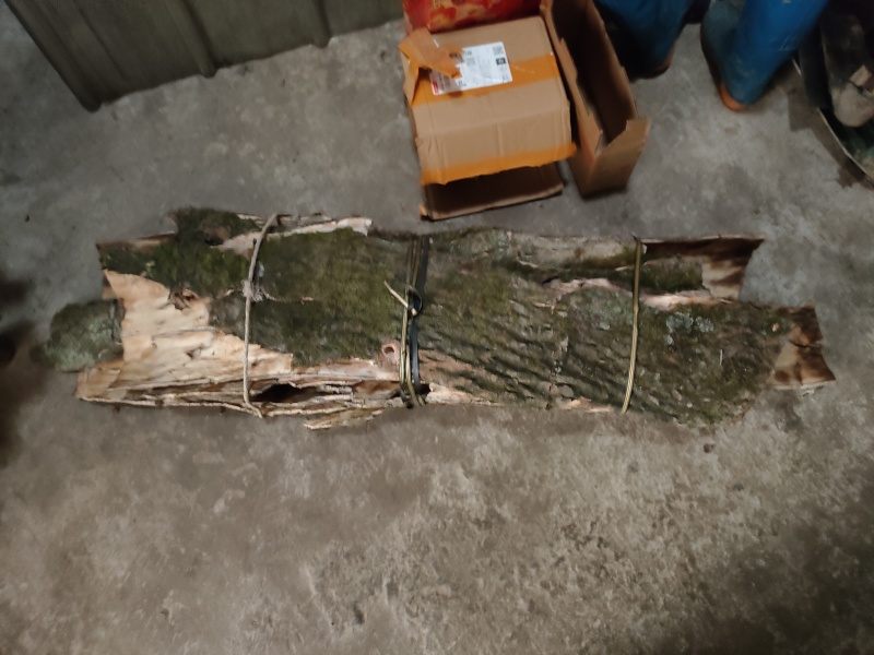 杜仲皮干货，欢迎各位老板提前预定，规格𣎴等，价随行就市