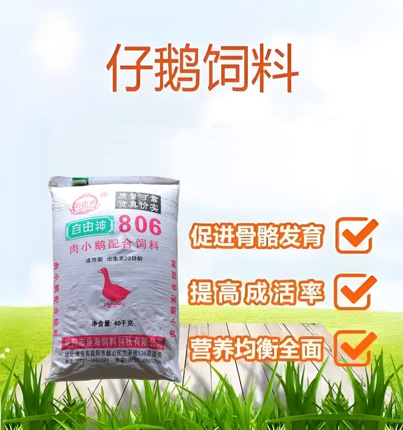小鹅全价配合颗粒饲料爱吃肯长中草药益生菌配方厂家直销80斤