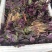红苋菜，大量供应，需要的老板联系，量大从优，