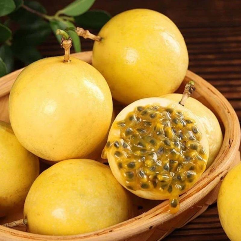 湛江徐闻百香果