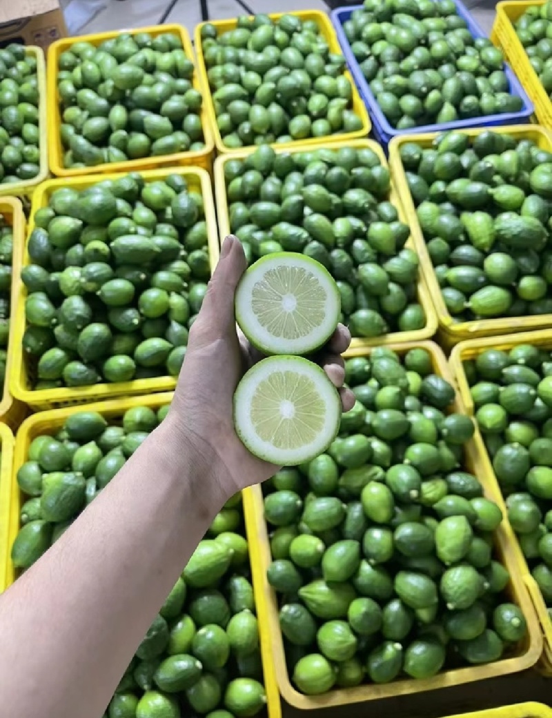 湛江香水柠檬