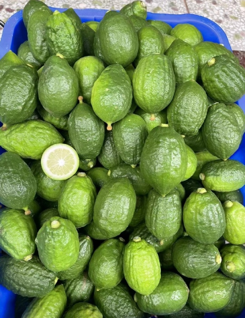 湛江香水柠檬