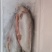 青海龙羊峡三文鱼