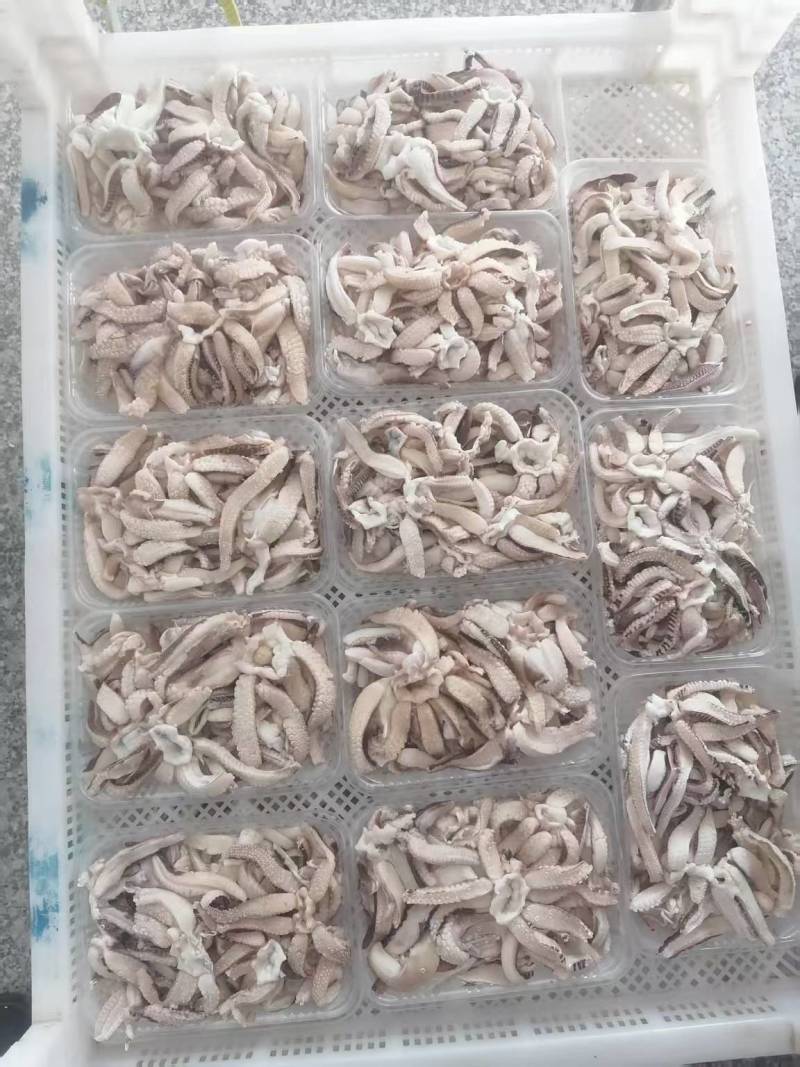 墨鱼须美味天龙爪500克/包，电商海味酒店爆炒白灼火锅