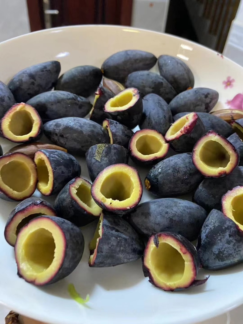 本地黑油橄榄，2年苗，载种第三年挂果
