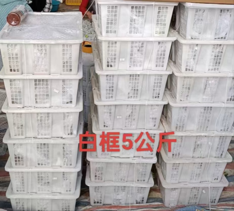 【产地直供】新鲜无花果，现摘现发，空运直达，✅极速发货