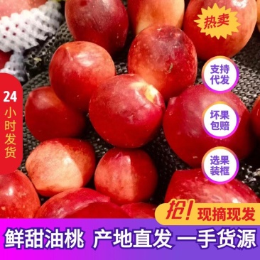 🅰中油油桃硬度好口感脆甜质量三包全国代发
