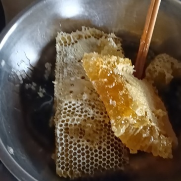 土蜂蜜