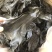 海带头烘干水洗海带头海带头片海带海带干干海带头