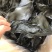 海带头烘干水洗海带头海带头片海带海带干干海带头