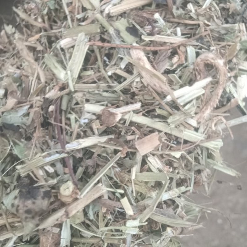 花生秧