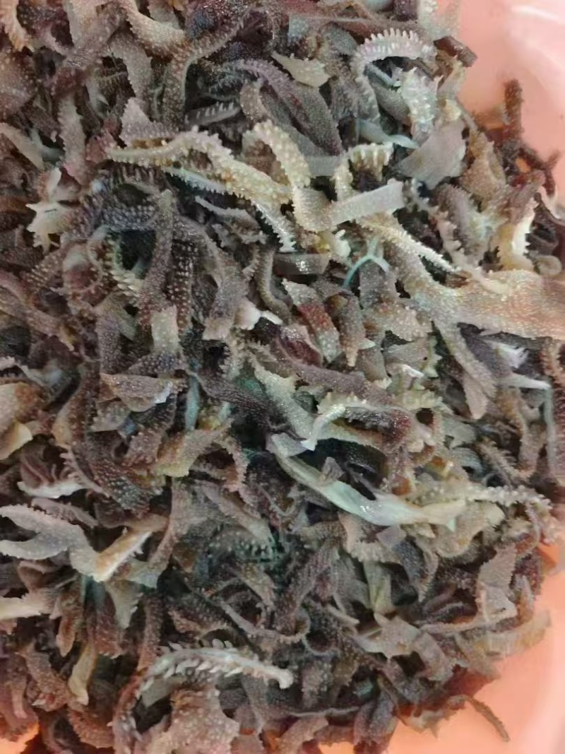 毛肚丝
