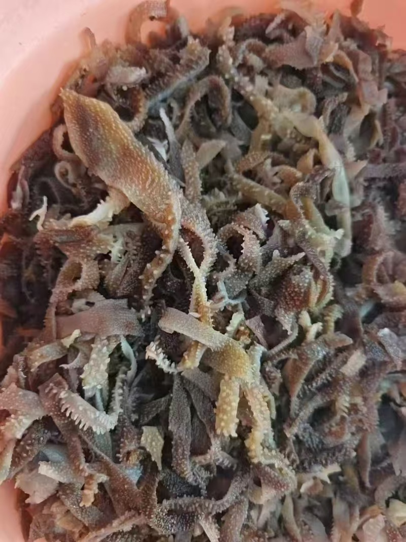 毛肚丝