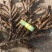 茴香菖蒲山奈五香草干货产地直供整车走货欢迎咨询