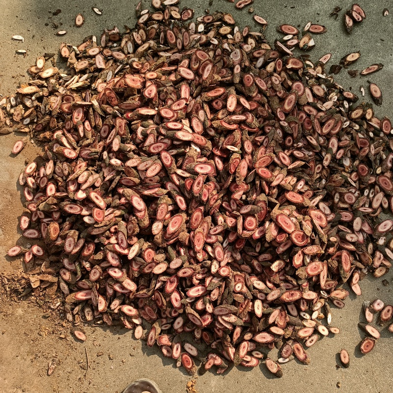 药材海风藤干片，加根条