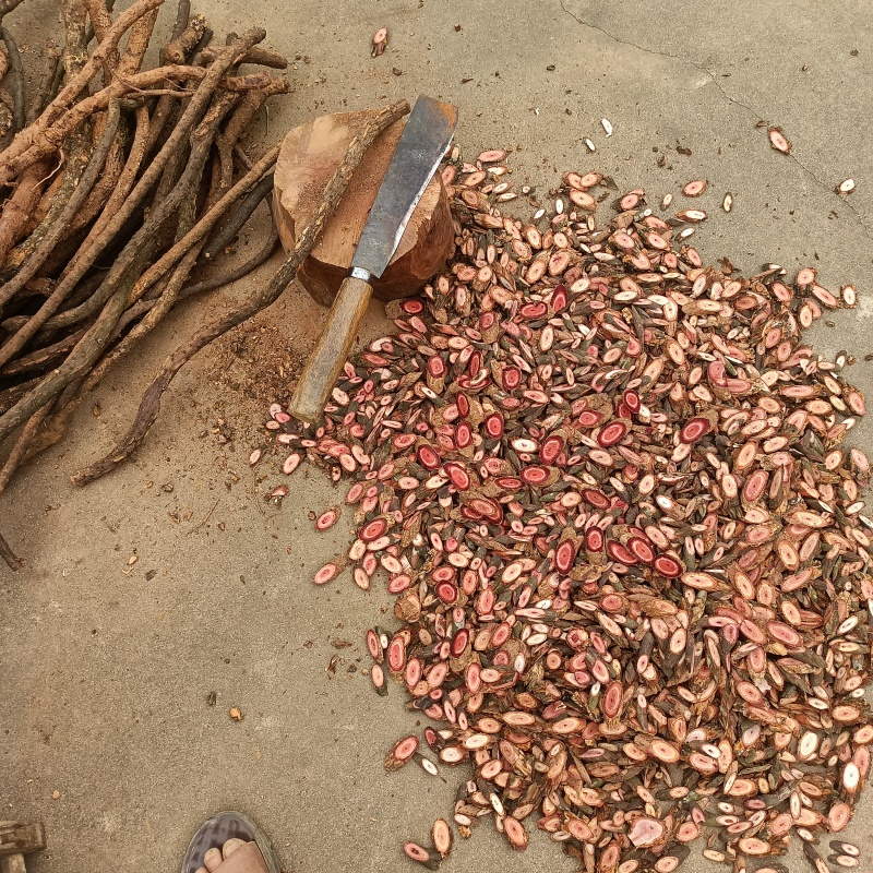 药材海风藤干片，加根条