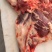 【羊腿肉】鲜杀羔羊后腿品质保证规格齐全，欢迎欢迎洽谈合作
