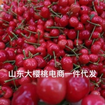 山东大樱桃，美早樱桃，红灯樱桃，产地直发，保质保量