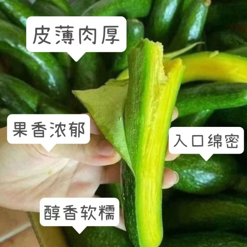 国产广西长条形牛油果