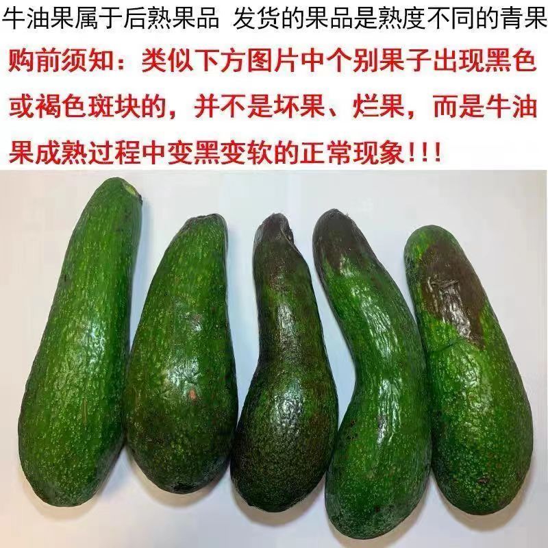 国产广西长条形牛油果