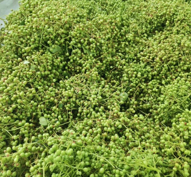 鲜花椒，