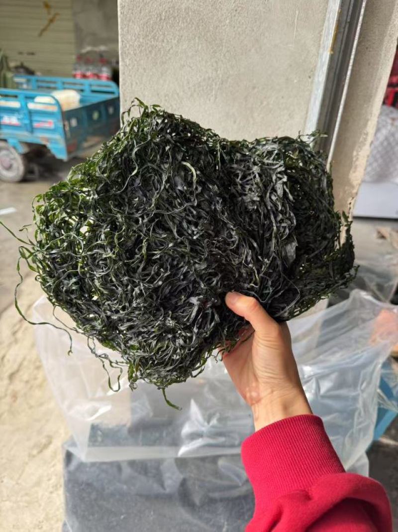 海带圈圈海带丝！