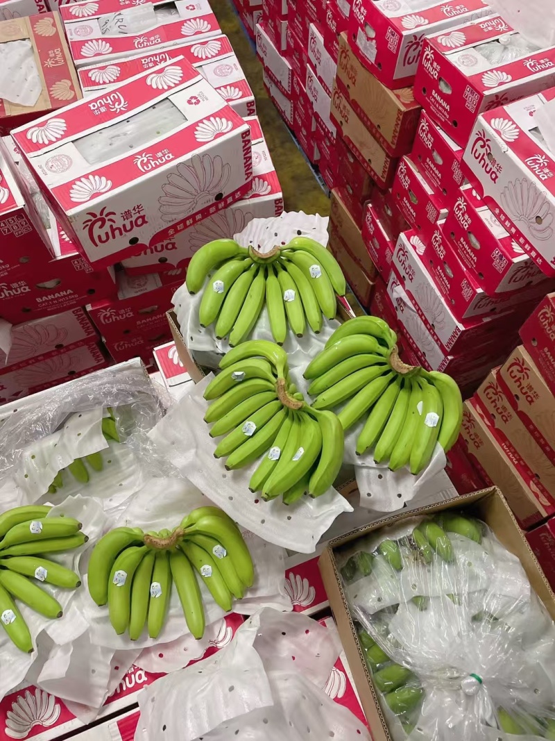 香蕉批发，一手货源，全国供应，可对接各大电商商超等