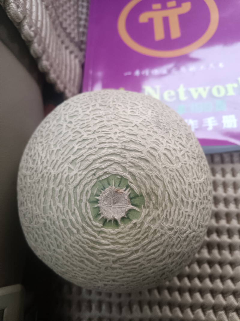 批发西州密25甜瓜