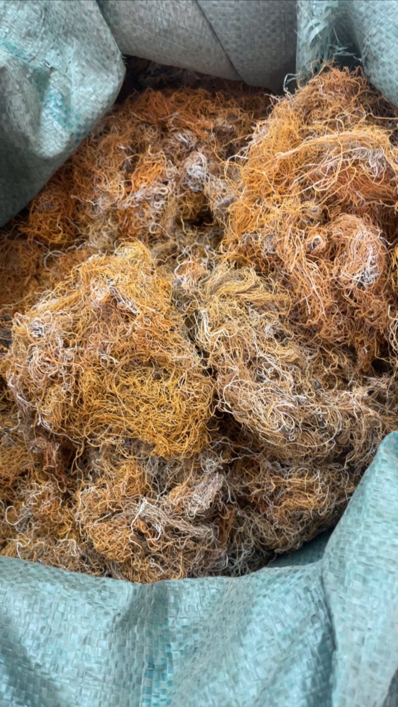 红雪茶大货批发一手货源精选红雪茶