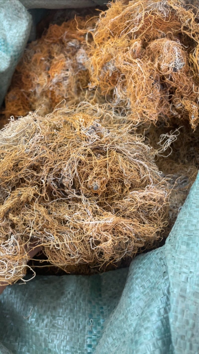 红雪茶大货批发一手货源精选红雪茶