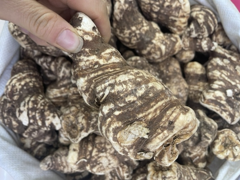云南滇重楼整个重楼大货批发一手货源