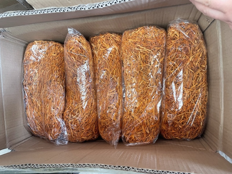 虫草花大货批发一公斤一袋
