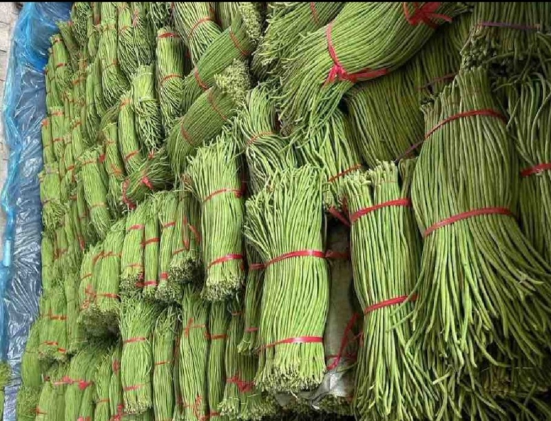 长豆角，产地直供，量大