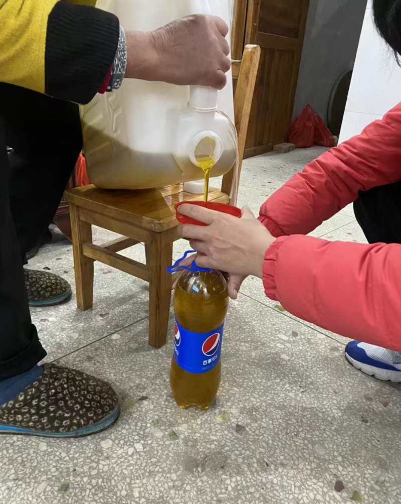 山茶果油