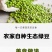 绿豆5斤农家自产小绿豆500g新鲜豆芽笨绿豆绿豆糕