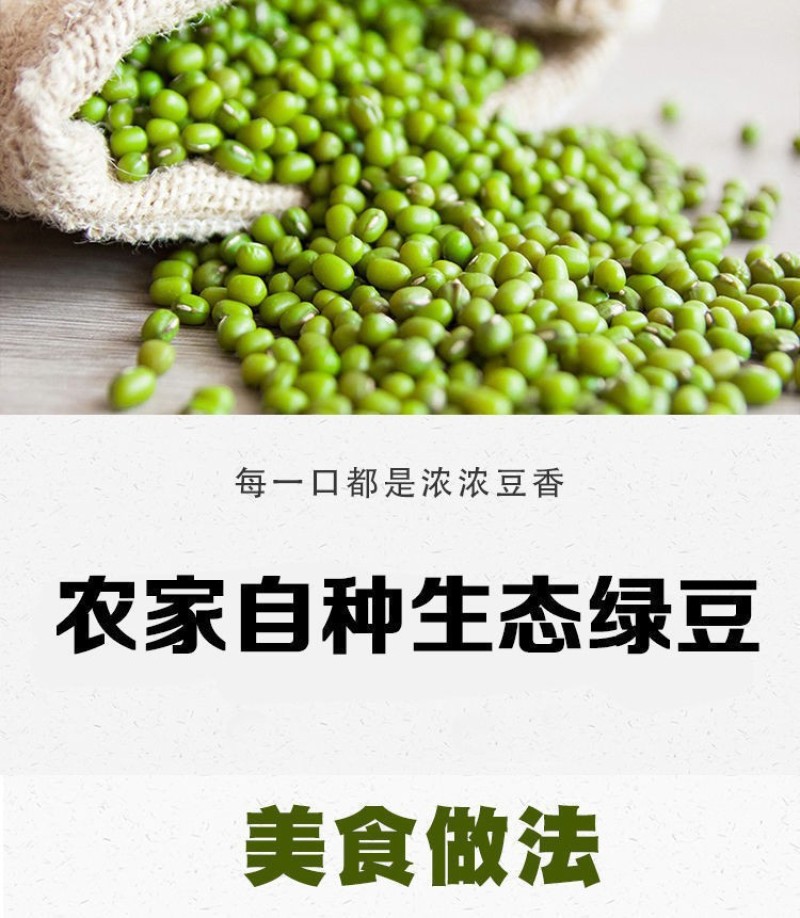 绿豆5斤农家自产小绿豆500g新鲜豆芽笨绿豆绿豆糕