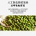 绿豆5斤农家自产小绿豆500g新鲜豆芽笨绿豆绿豆糕