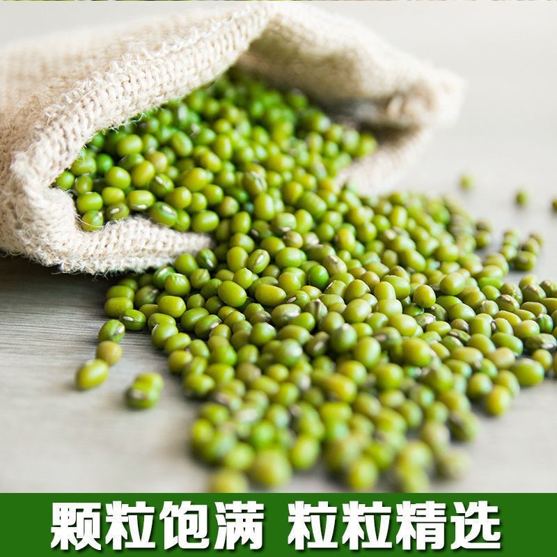 绿豆5斤农家自产小绿豆500g新鲜豆芽笨绿豆绿豆糕