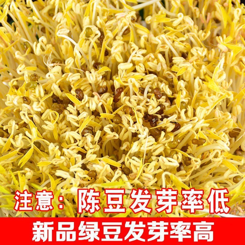 绿豆5斤农家自产小绿豆500g新鲜豆芽笨绿豆绿豆糕