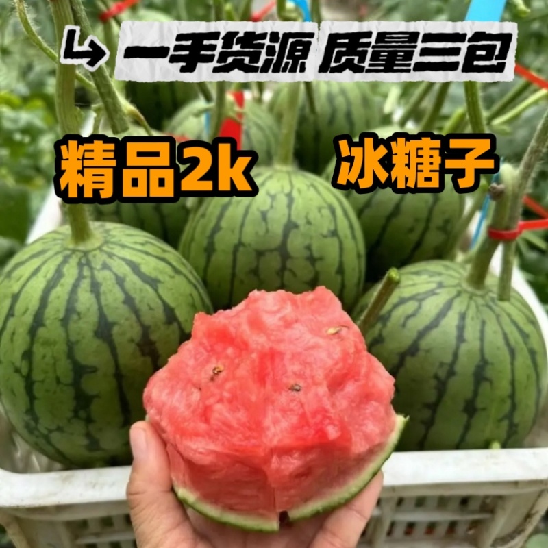 河北产区2k，冰糖子西瓜，小糖丸，掉价了，价格便宜