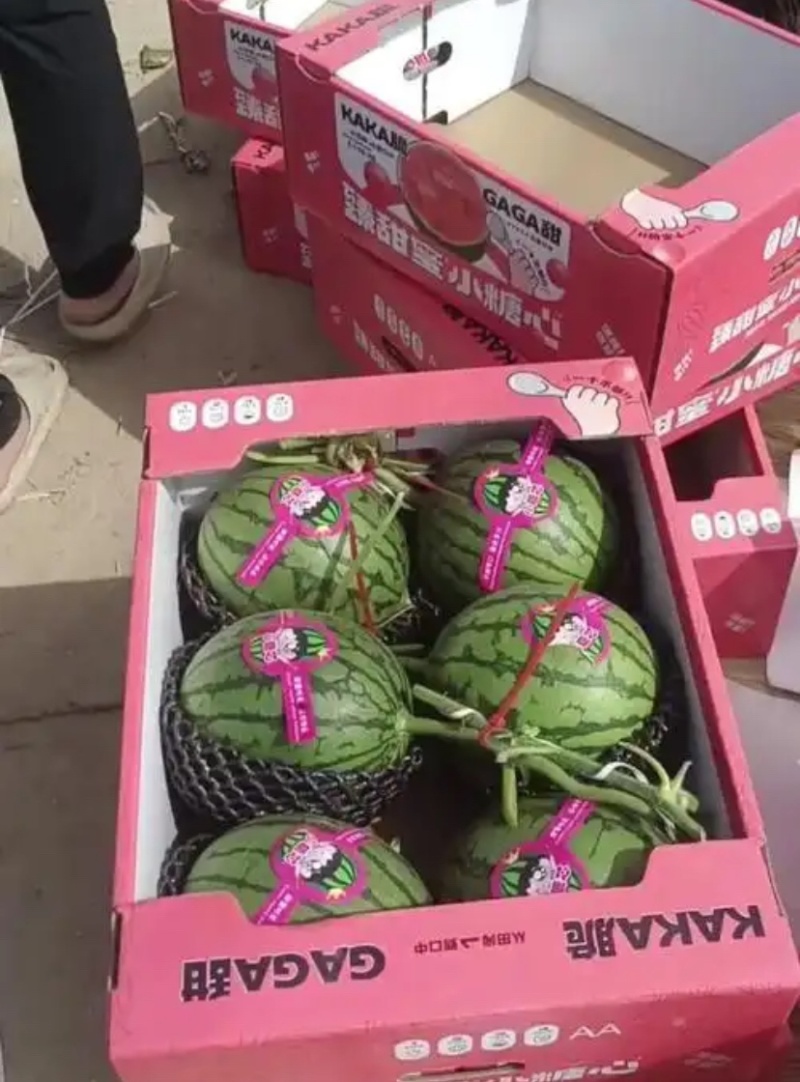 河北产区2k，冰糖子西瓜，小糖丸，掉价了，价格便宜