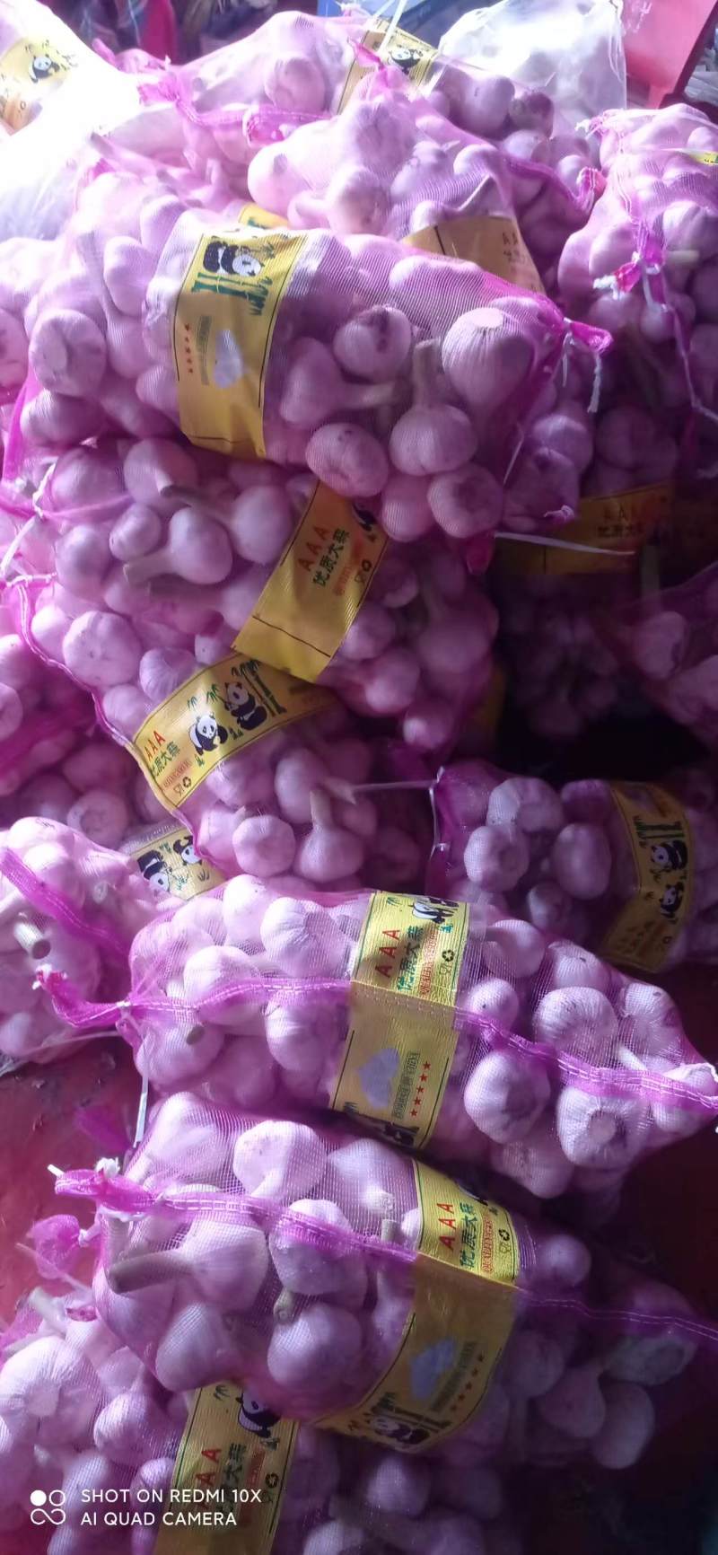 精品扒皮鲜蒜大量供应产地直发品质保证量大价优全国发货