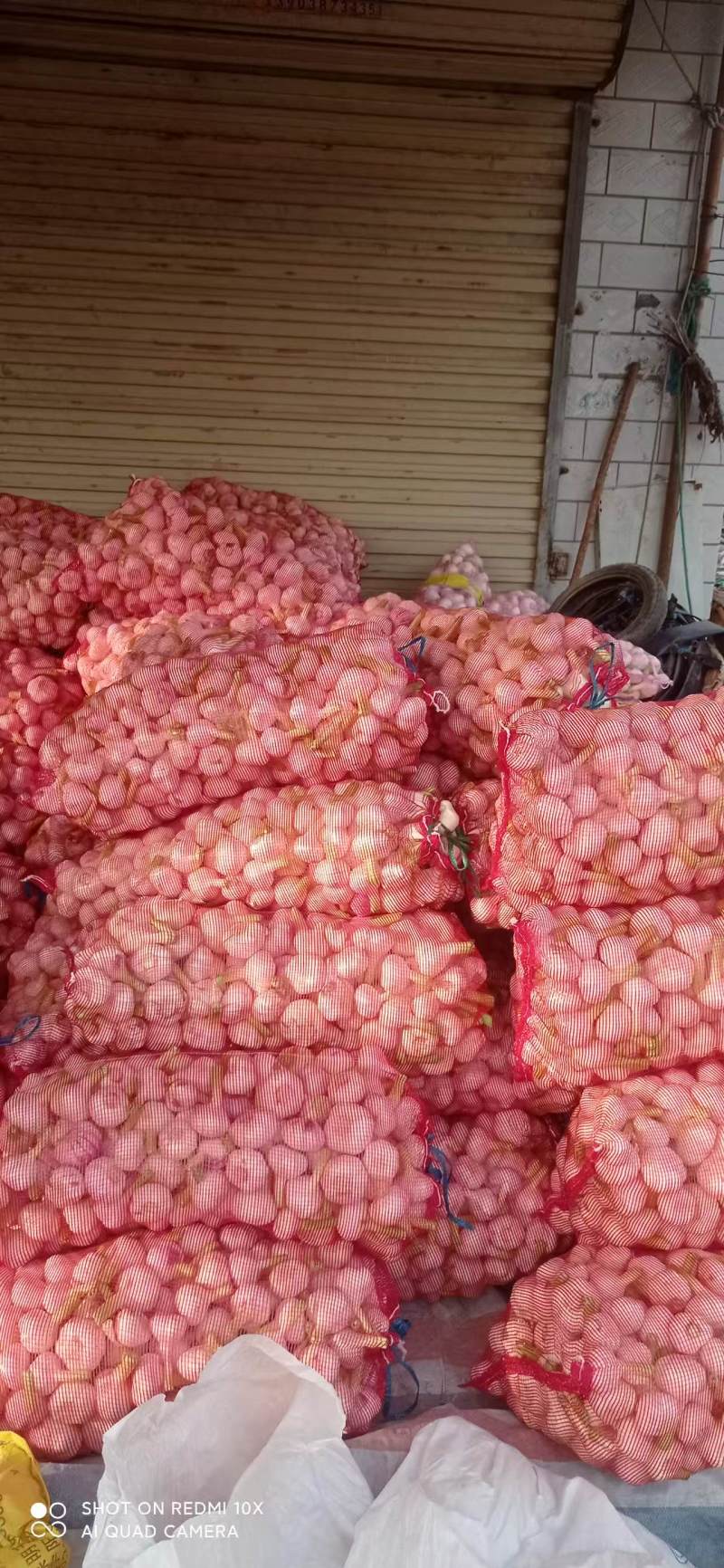 精品扒皮鲜蒜大量供应产地直发品质保证量大价优全国发货