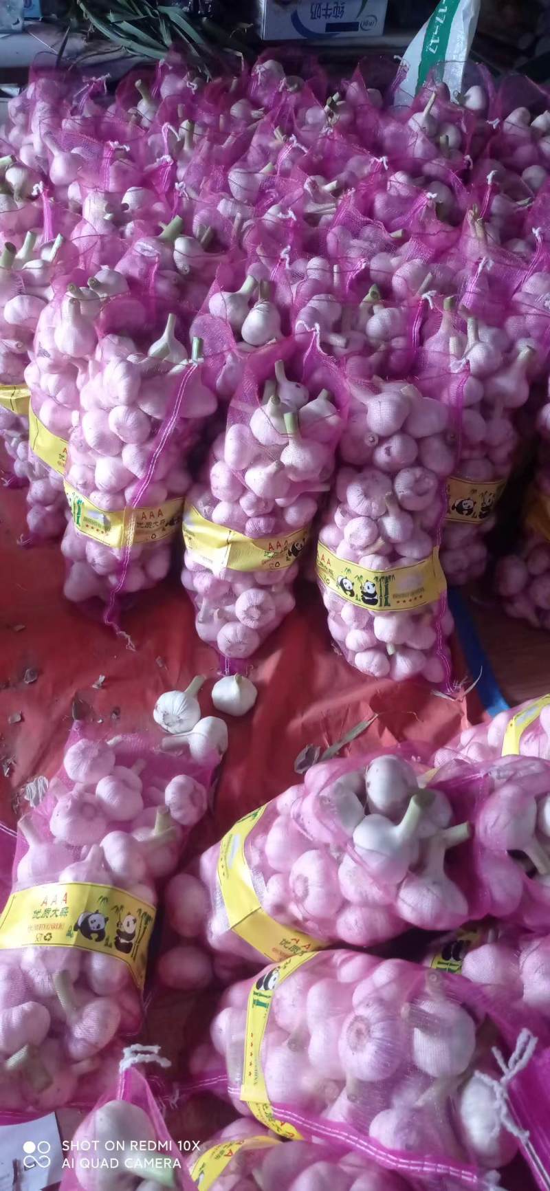 精品扒皮鲜蒜大量供应产地直发品质保证量大价优全国发货