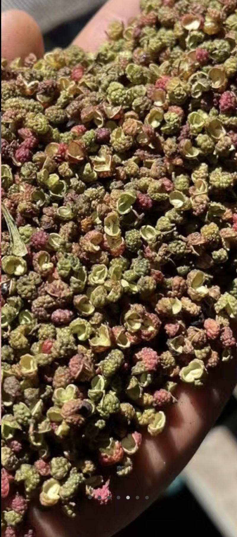 香味浓郁，麻度高的金阳花红椒上市了红花椒