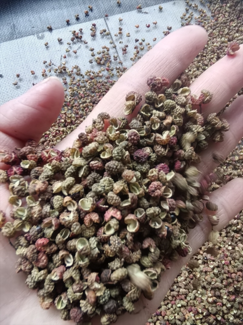 香味浓郁，麻度高的金阳花红椒上市了红花椒