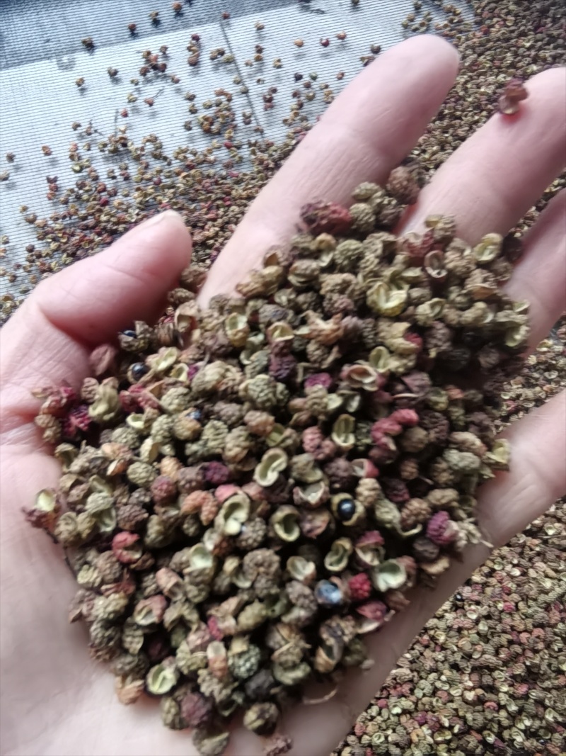 香味浓郁，麻度高的金阳花红椒上市了红花椒